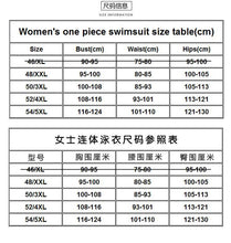 Load image into Gallery viewer, Siamese Women's Triangle Large Size Long Sleeve Zipper Colorblock Swimsuit