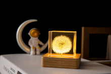 Load image into Gallery viewer, Dandelion Glowing Night Light Crystal Ball Eternal Flower Gift Wooden Birthday Gift for Girl