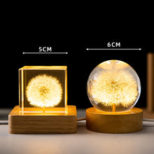 Load image into Gallery viewer, Dandelion Glowing Night Light Crystal Ball Eternal Flower Gift Wooden Birthday Gift for Girl