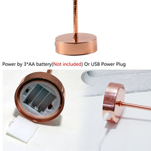 Load image into Gallery viewer, Remote Control Feather Table Lamp USB/AA Battery Power DIY Creative Warm Light Tree Feather Lampshade Wedding Home Bedroom Decor