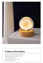 Load image into Gallery viewer, Dandelion Glowing Night Light Crystal Ball Eternal Flower Gift Wooden Birthday Gift for Girl