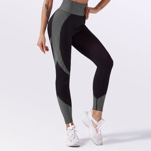 GYM Seamless Shark Seamless Sports Fitness Yoga Suit