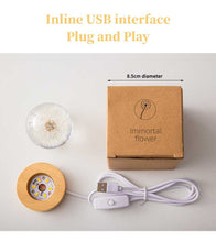 Load image into Gallery viewer, Dandelion Glowing Night Light Crystal Ball Eternal Flower Gift Wooden Birthday Gift for Girl
