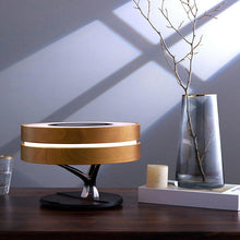 Load image into Gallery viewer, Circle Of Life Light
