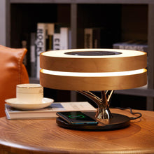 Load image into Gallery viewer, Circle Of Life Light
