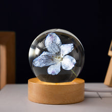 Load image into Gallery viewer, Dandelion Glowing Night Light Crystal Ball Eternal Flower Gift Wooden Birthday Gift for Girl
