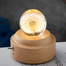 Load image into Gallery viewer, Dandelion Glowing Night Light Crystal Ball Eternal Flower Gift Wooden Birthday Gift for Girl
