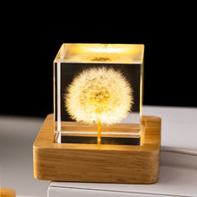 Load image into Gallery viewer, Dandelion Glowing Night Light Crystal Ball Eternal Flower Gift Wooden Birthday Gift for Girl
