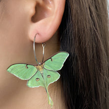 Load image into Gallery viewer, Fashion Simple Acrylic Green Butterfly Moth Earrings Women&#39;s High-quality Personality Earrings
