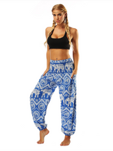 Load image into Gallery viewer, Digital Printing Yoga Pants Loose Women&#39;s Sports Lantern Pants Belly Dance Casual Yoga Pants 1
