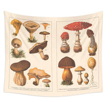 Load image into Gallery viewer, Mushroom Tapestry Wall Decor Mycology Mushroom Champignon Identification Chart Diagram Illustration Wall Art Boho Decor
