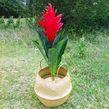 Load image into Gallery viewer, Seaweed Wicker Basket Rattan Hanging Flowerpot Flowerpot Dirty Clothes Dirty Clothes Basket Storage Basket   WF1015
