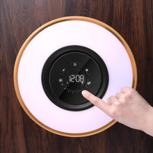 Load image into Gallery viewer, Circle Of Life Light
